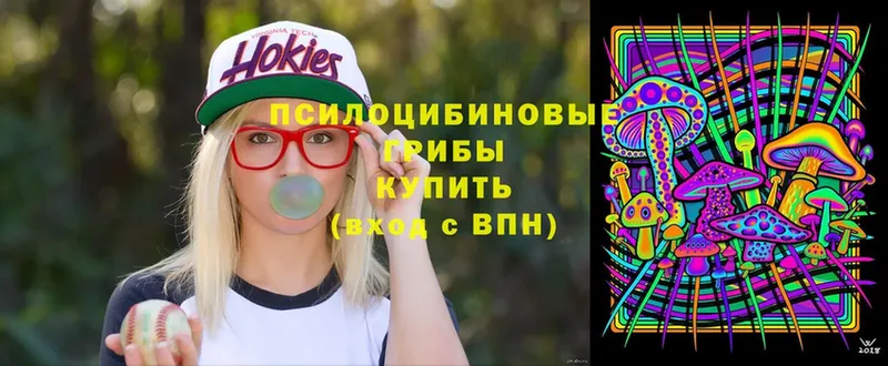 Псилоцибиновые грибы мухоморы  как найти закладки  Мелеуз 